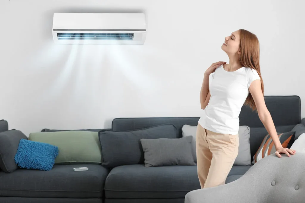 Among the options for Energy Efficiency Systems installation, we can opt for Climate Control.